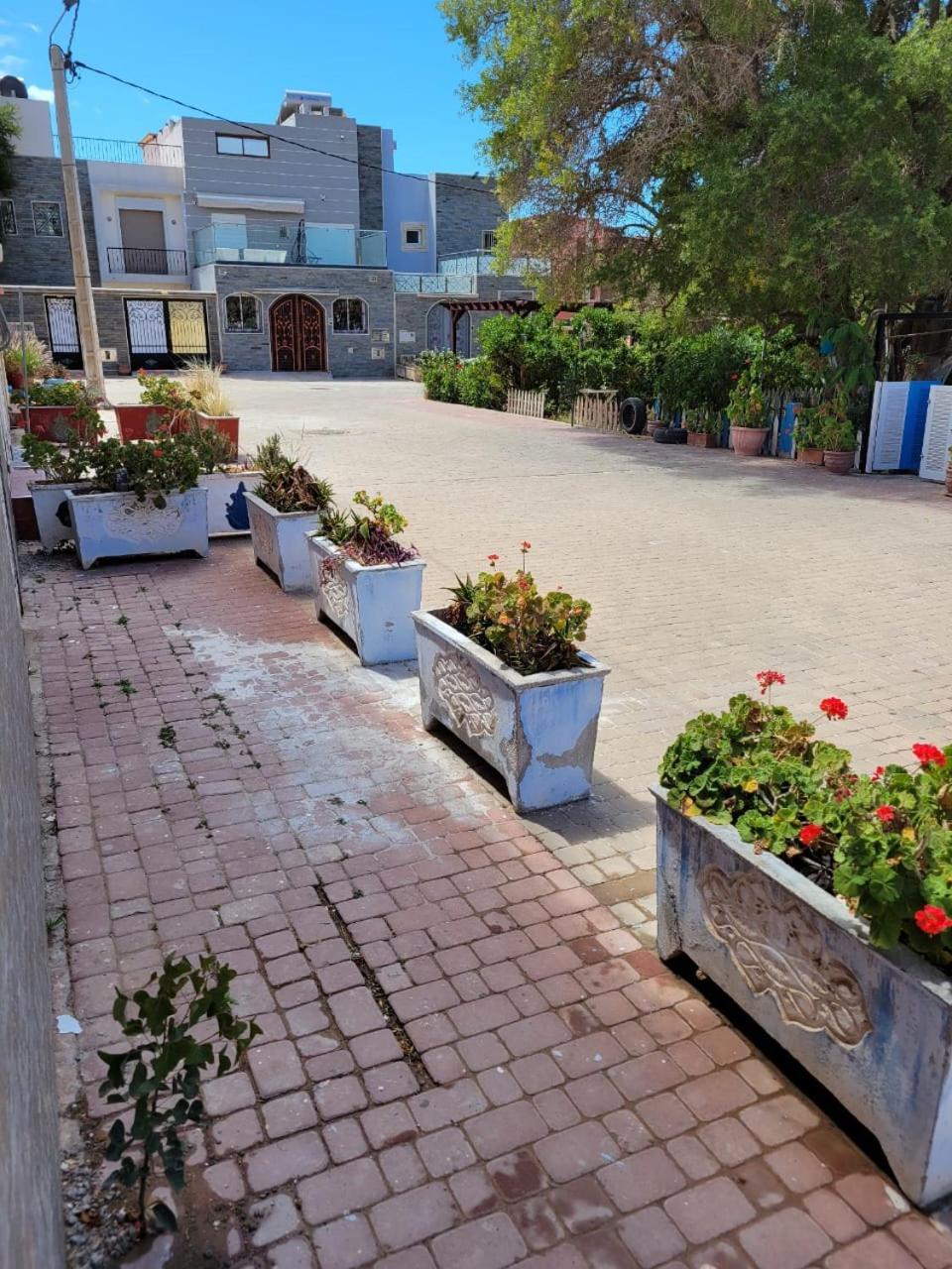 Imi Ouaddar Apartment Just Steps From The Beach Agadir n'Ait Sa Dış mekan fotoğraf