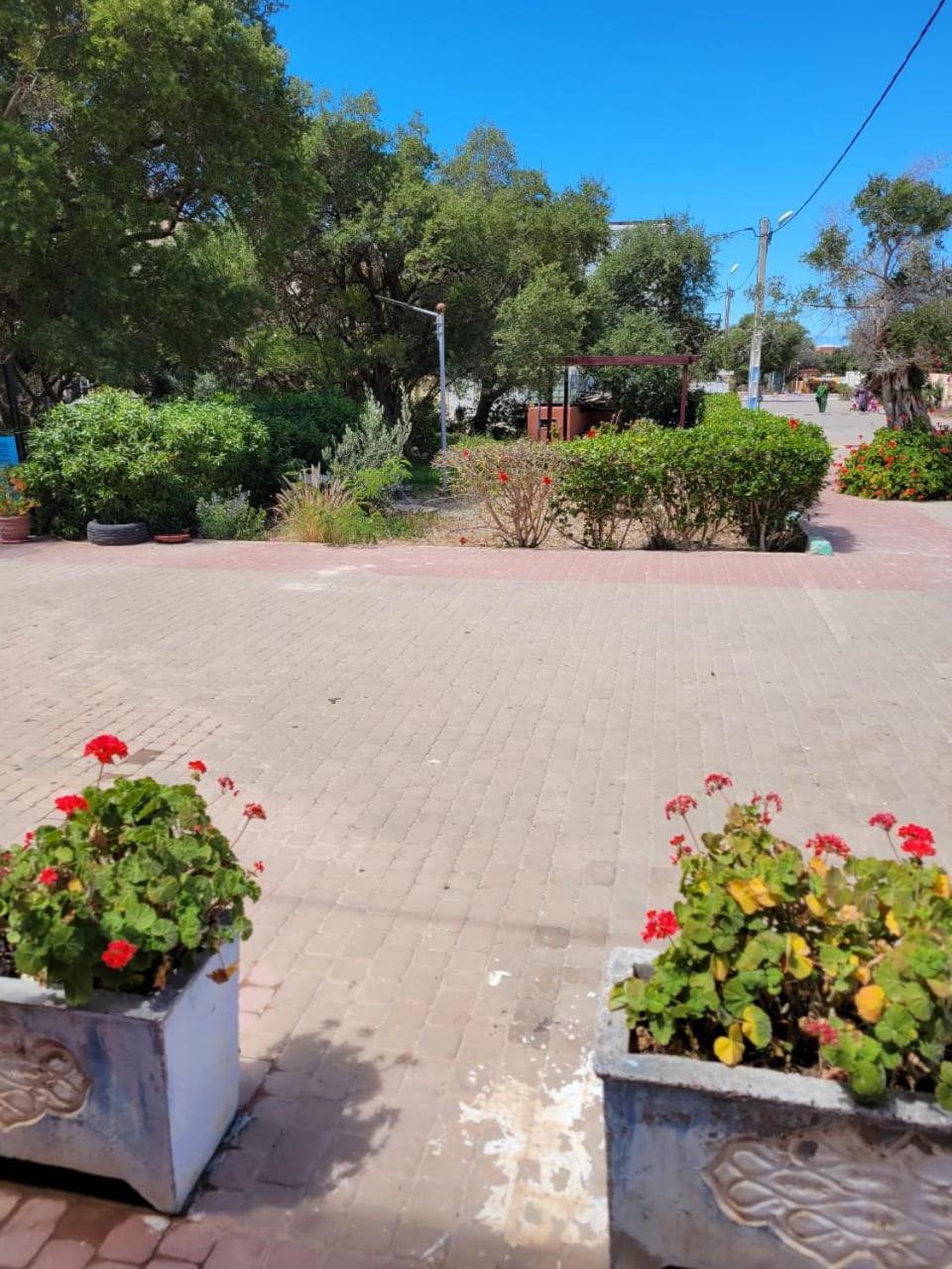 Imi Ouaddar Apartment Just Steps From The Beach Agadir n'Ait Sa Dış mekan fotoğraf